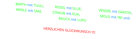 Bettina Barth mit tuuli,  Nina rissel mit ellie,  Patricia venzke mit Dakota,  Sonja werle mit Sam,  Ralf straub mit Elia,  Christian molis mit iwi und Jörg Rauch mit Lupo  HERZLICHEN GLÜCKWUNSCH !!!!