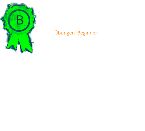 B Übungen  Beginner: 	1.	 Verhalten gegenüber anderen Hunden  	2.	Stehen und betasten 	3.	2 Minuten liegen in einer Gruppe, Hundeführer in Sicht 	4.	Freifolge 	5.	Sitz oder Platz aus der Bewegung 	6.	In ein 10m entfrentes Quadrat schicken mit Platz 	7.	Abrufen 	8.	Apport auf ebener Erde 	9.	Distanzkontrolle aus 3m, 2 Wechsel 	10.	Um eine 5m entfernte Pylonengruppe / Tonne schicken 	11.	Gesamteindruck