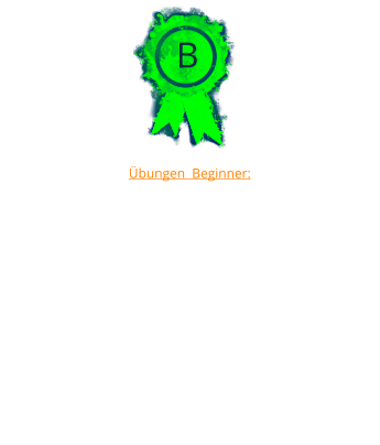 B Übungen  Beginner: 	1.	 Verhalten gegenüber anderen Hunden  	2.	Stehen und betasten 	3.	2 Minuten liegen in einer Gruppe, Hundeführer in Sicht 	4.	Freifolge 	5.	Sitz oder Platz aus der Bewegung 	6.	In ein 10m entfrentes Quadrat schicken mit Platz 	7.	Abrufen 	8.	Apport auf ebener Erde 	9.	Distanzkontrolle aus 3m, 2 Wechsel 	10.	Um eine 5m entfernte Pylonengruppe / Tonne schicken 	11.	Gesamteindruck