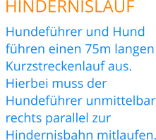 HINDERNISLAUF Hundeführer und Hund führen einen 75m langen Kurzstreckenlauf aus. Hierbei muss der Hundeführer unmittelbar rechts parallel zur Hindernisbahn mitlaufen.