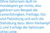 Ohne Gehorsam läuft im Hundesport gar nichts, also gehören zum Beispiel die Leinenführigkeit, Freifolge, Sitz-und Platzübung und auch die Stehübung dazu. Beim Vierkampf 2 und 3 erfolgt der Gehorsam ohne Leine.