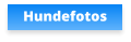 Hundefotos