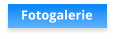 Fotogalerie